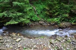 Close-up image of a small river in a mountainous area photo