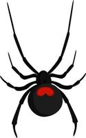 Black widow, illustration, vector on white background