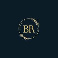 Initial BR beauty monogram and elegant logo design, handwriting logo of initial signature, wedding, fashion, floral and botanical with creative template. vector