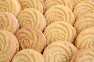 Close-up of a large number of round cookies with coconut filling photo