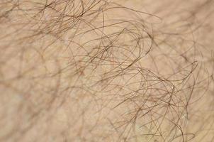 Close up detail of human skin with hair. Mans hairy leg photo