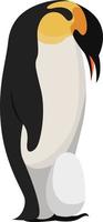 Papá pingüino con huevo, ilustración, vector sobre fondo blanco.
