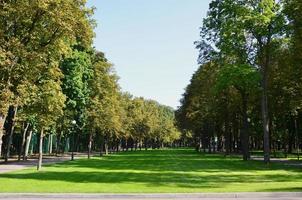 Green and orange trees in beautiful park. Floral and natural autumn landscape photo