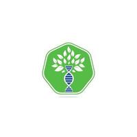 Dna tree vector logo design. DNA genetic icon. DNA with green leaves vector logo design.