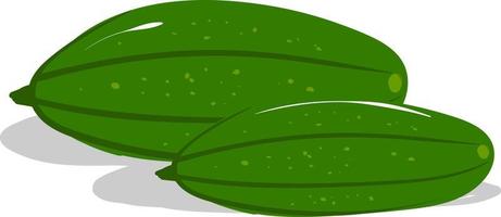 Fresh cucumbers, illustration, vector on white background.