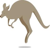 Kangaroo, illustration, vector on white background.