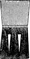 ilustración vintage de overgrainer entubado. vector