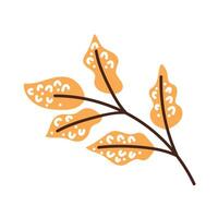 autumn branch with yellow leafs vector