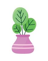 houseplant in lilac pot vector