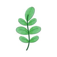 branch with green leafs vector