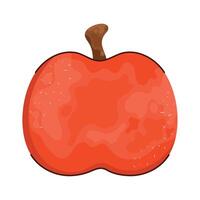 fresh apple fruit red vector