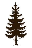 tree plant coniferus silhouette vector