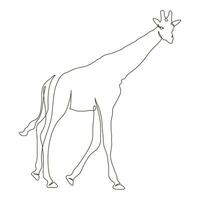 wild giraffe line drawn vector