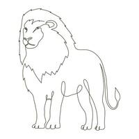 wild lion line drawn vector