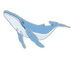 wild whale color drawn vector