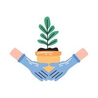 hands planting houseplant in pot vector