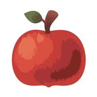 fresh apple fruit red vector