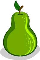 Beautiful pear, illustration, vector on white background