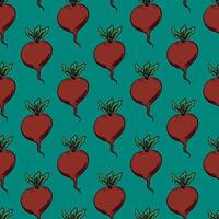 Beets pattern, seamless pattern on blue background. vector