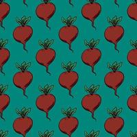 Beets pattern, seamless pattern on blue background. vector