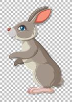 Cute rabbit on grid background vector