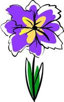 Iris drawing, illustration, vector on white background.