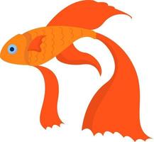 Gold fish, illustration, vector on white background.