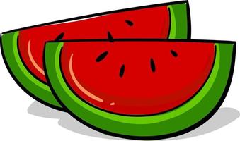 Watermelon pieces, illustration, vector on white background