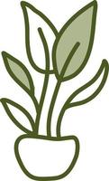 Chinese money plant, illustration, vector on a white background.