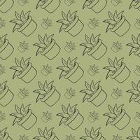 Aloe pattern , illustration, vector on white background