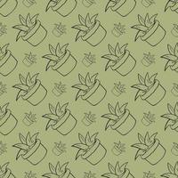 Aloe pattern , illustration, vector on white background