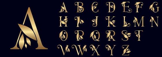 conjunto de belleza creativa letras del logotipo vector