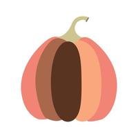 Pink brown pumpkin vector