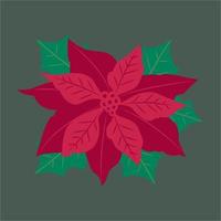 Winter Red Flower vector illustration