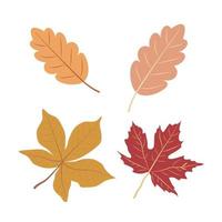 Autumn Leaves Set, Vector Illustration
