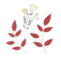 Autumn flower and branches vector