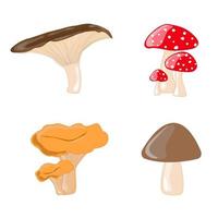 Cartoon mushrooms.Set of vector illustrations in flat design isolated on white. Design for print on fabric, wrapping paper, packing, wallpaper.Vector illustration