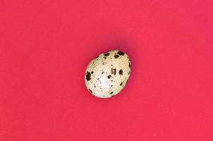 One quail egg on a light red surface, top view, empty place for text photo