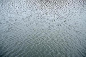 la textura del agua en el río bajo la influencia del viento. muchas olas poco profundas en la superficie del agua foto