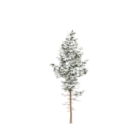 isometrischer baum 3d rendern png