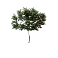 isometrico albero 3d rendere png