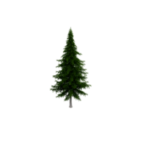 isometrico albero 3d rendere png