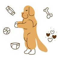 Newfoundland dog set3. A small set with a Newfoundland dog standing on its hind legs, hearts, bone, ball, bowl and collar. Color cartoon doodle illustration. vector