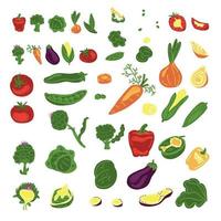 gran conjunto de 10 verduras. 46 elementos. zanahoria, alcachofa, brócoli, cebolla, berenjena, tomate, pimiento, repollo, guisantes, maíz. dibujo a mano vectorial ilustración de dibujos animados. vector