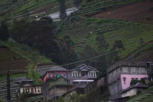 landscape photo of houses at the foot of the green mountain