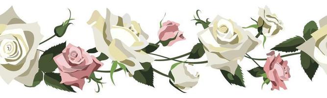 Vector floral background with white and pink roses, buds and leaves. Border design isolated on white background