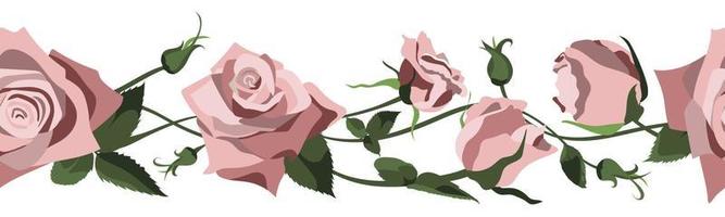 Vector floral background with pink roses, buds and leaves. Border design isolated on white background