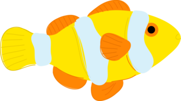 Hand drawn style ocean Clownfish png