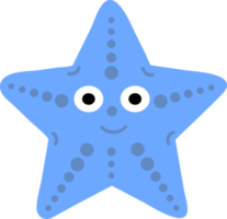 Hand drawn style ocean Starfish png