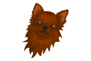 schattig bruin chihuahua hond png